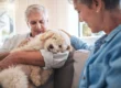 Pet-Friendly Assisted Living in Troy, Ohio | The Courtyard