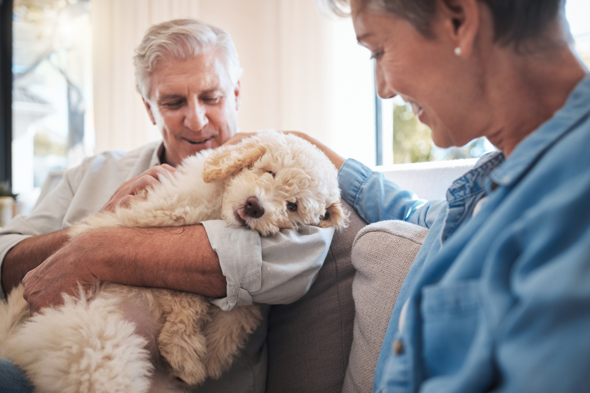 Pet-Friendly Assisted Living in Troy, Ohio | The Courtyard Pet-Friendly Assisted Living in Troy, Ohio | The Courtyard
